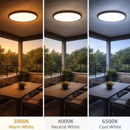 Rabalux - LED kúpeľňové stropné svietidlo LED/24W/230V 3000/4000/6000K pr. 40 cm IP44 hnedé