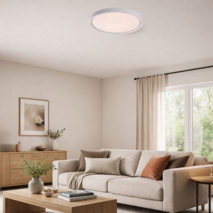 Rabalux - Stmievateľné LED stropné svietidlo LED/31W/230V IP40 3000-6500K pr. 41,5 cm + diaľkové ovládanie