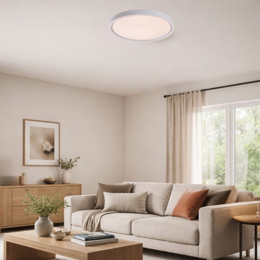 Rabalux - Stmievateľné LED stropné svietidlo LED/31W/230V IP40 3000-6500K pr. 41,5 cm + diaľkové ovládanie