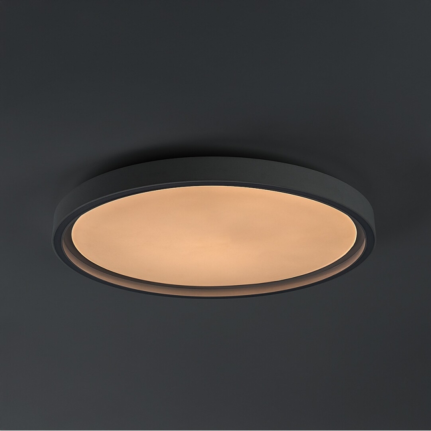 Rabalux - Stmievateľné LED stropné svietidlo LED/31W/230V IP40 3000-6500K pr. 41,5 cm + diaľkové ovládanie