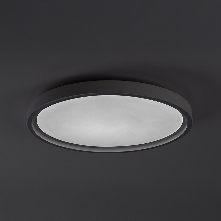 Rabalux - Stmievateľné LED stropné svietidlo LED/31W/230V IP40 3000-6500K pr. 41,5 cm + diaľkové ovládanie