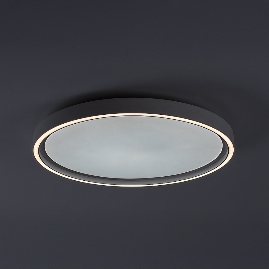 Rabalux - Stmievateľné LED stropné svietidlo LED/31W/230V IP40 3000-6500K pr. 41,5 cm + diaľkové ovládanie