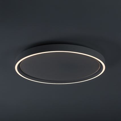 Rabalux - Stmievateľné LED stropné svietidlo LED/31W/230V IP40 3000-6500K pr. 41,5 cm + diaľkové ovládanie
