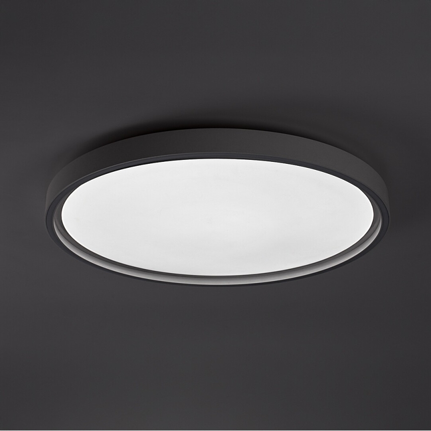 Rabalux - stmievateľné LED stropné svietidlo LED/54W/230V IP40 3000-6500K priemer 52 cm + diaľkové ovládanie