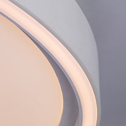 Rabalux - stmievateľné LED stropné svietidlo LED/54W/230V IP40 3000-6500K priemer 52 cm + diaľkové ovládanie