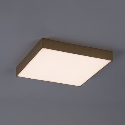 Rabalux - LED Kúpeľňové stropné svietidlo LED/24W/230V 2800/4000/6000K IP44