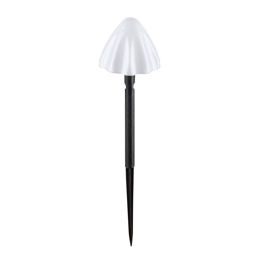 Rabalux - LED Solárne svietidlo 10xLED/0,2W/1,2V IP44