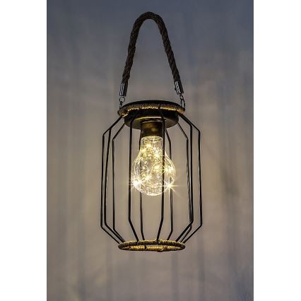 Rabalux - LED Solárne svietidlo LED/0,2W/1,2V IP44