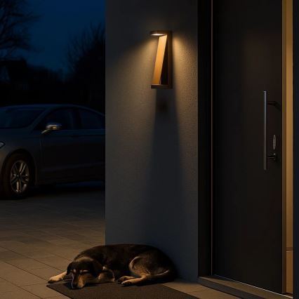 Rabalux - LED vonkajšie nástenné svietidlo LED/13W/230V IP65 hnedé