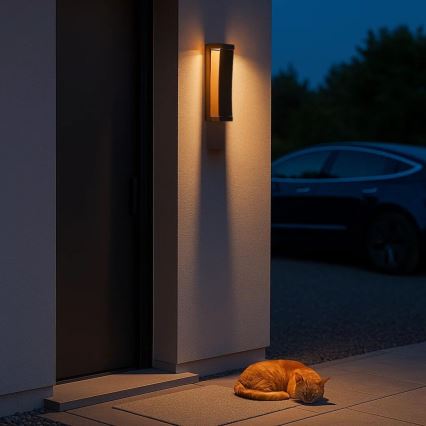 Rabalux - LED vonkajšie nástenné svietidlo LED/13W/230V IP65 hnedé