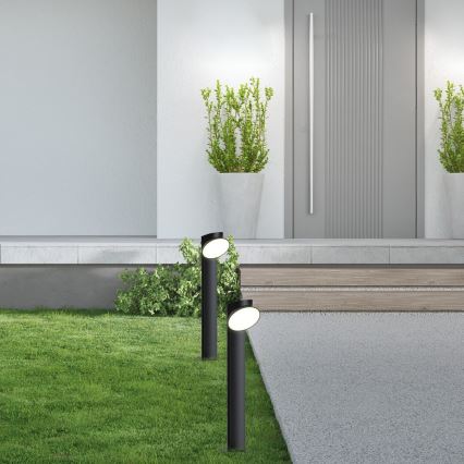 Rabalux - LED Vonkajšia lampa LED/12W/230V IP54