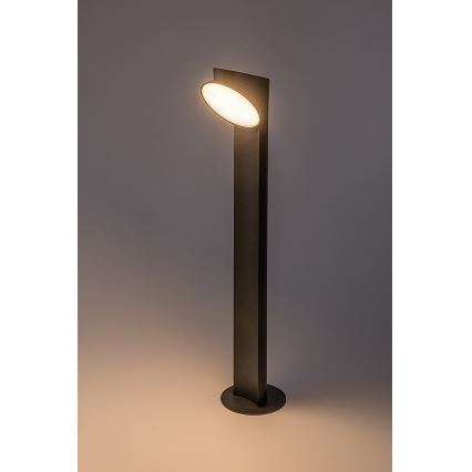 Rabalux - LED Vonkajšia lampa LED/12W/230V IP54