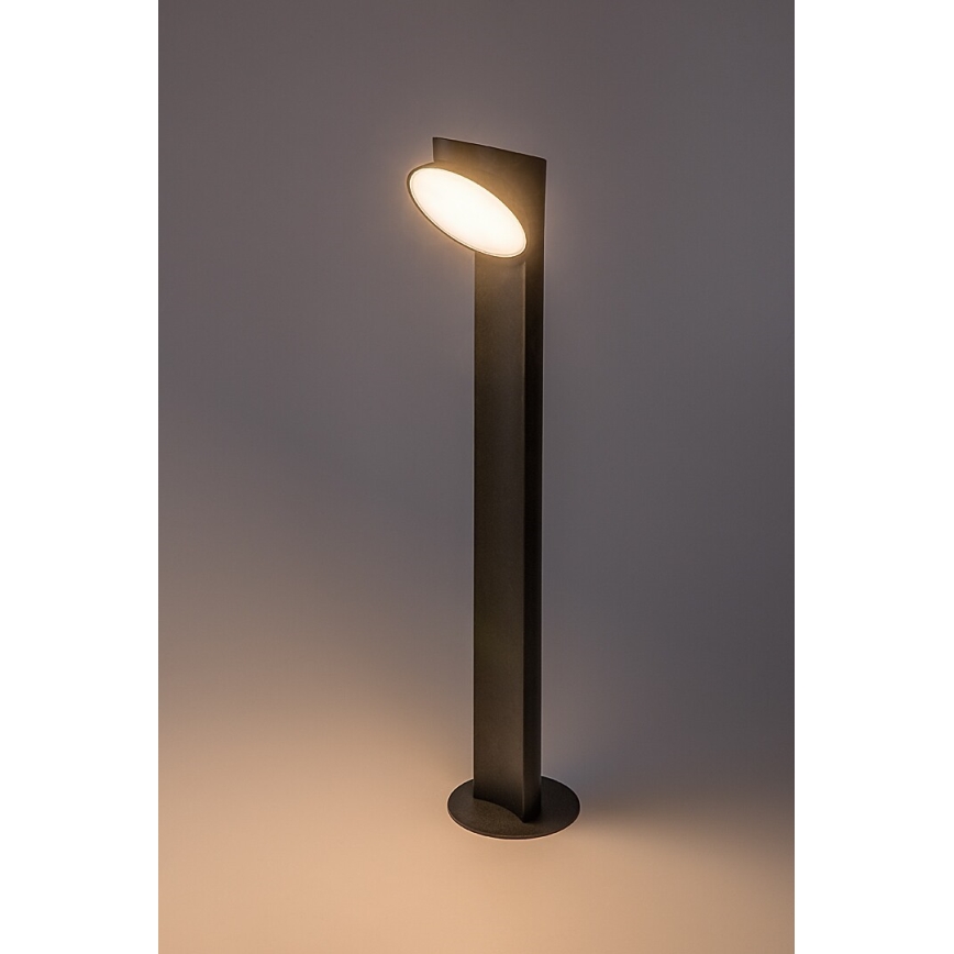 Rabalux - LED Vonkajšia lampa LED/12W/230V IP54
