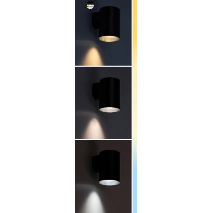 Rabalux - LED Vonkajšie nástenné svietidlo LED/18W/230V 2700/4000/6500K IP65 čierna