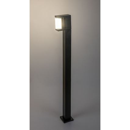 Rabalux - LED Vonkajšia lampa LED/10W/230V IP54