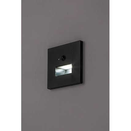 Rabalux - LED schodiskové svietidlo so snímačom pohybu a súmraku LED/1W/230V 3000/4500/6500K čierne