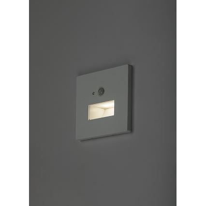 Rabalux - LED schodiskové svietidlo so senzorom pohybu a súmraku LED/1W/230V 3000/4500/6500K biela