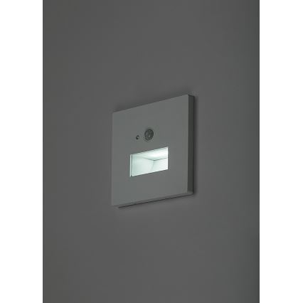 Rabalux - LED schodiskové svietidlo so senzorom pohybu a súmraku LED/1W/230V 3000/4500/6500K biela