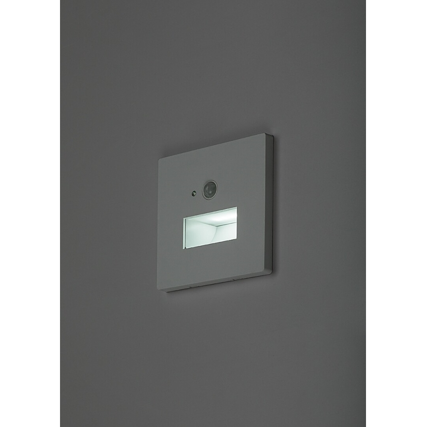 Rabalux - LED schodiskové svietidlo so senzorom pohybu a súmraku LED/1W/230V 3000/4500/6500K biela