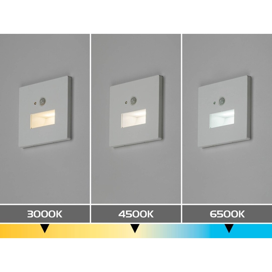 Rabalux - LED schodiskové svietidlo so senzorom pohybu a súmraku LED/1W/230V 3000/4500/6500K biela