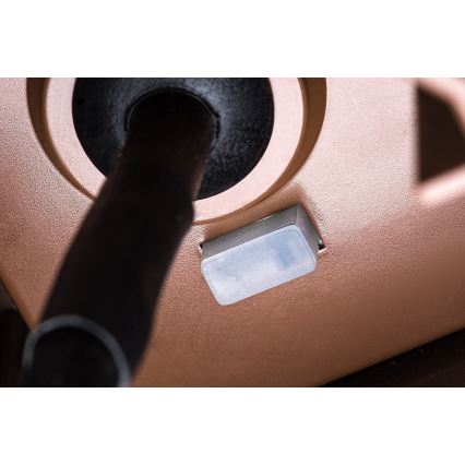 Rabalux - LED Vonkajšie nástenné svietidlo 9W/230V IP65 hnedé