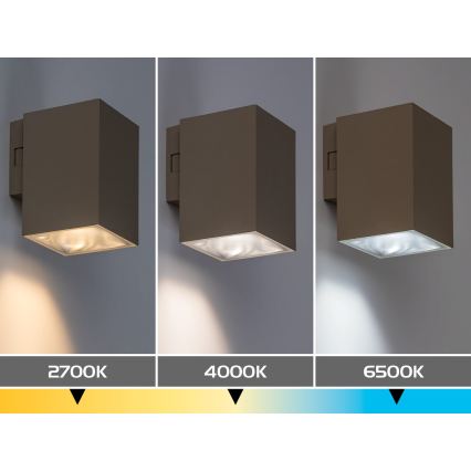 Rabalux - LED Vonkajšie nástenné svietidlo LED/9W/230V 2700/4000/6500K IP65