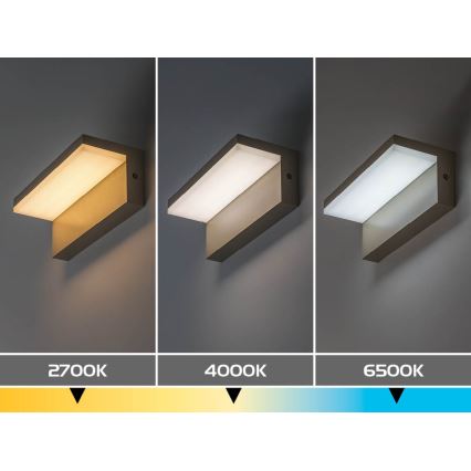 Rabalux - LED Vonkajšie nástenné svietidlo LED/9W/230V IP54 béžové