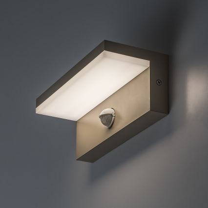 Rabalux - LED vonkajšie nástenné svietidlo so senzorom LED/9W/230V IP54 béžové