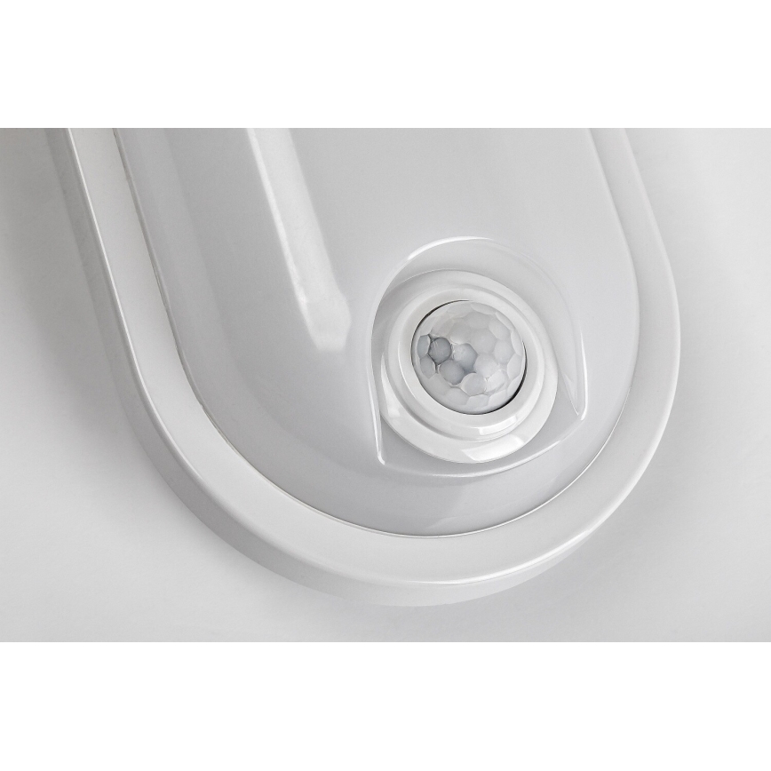 Rabalux - LED vonkajšie stropné svietidlo so senzorom LED/15W/230V IP65 biele