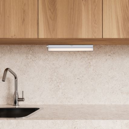 Rabalux - LED Podlinkové svietidlo LED/4W/230V 3000/4000K biela