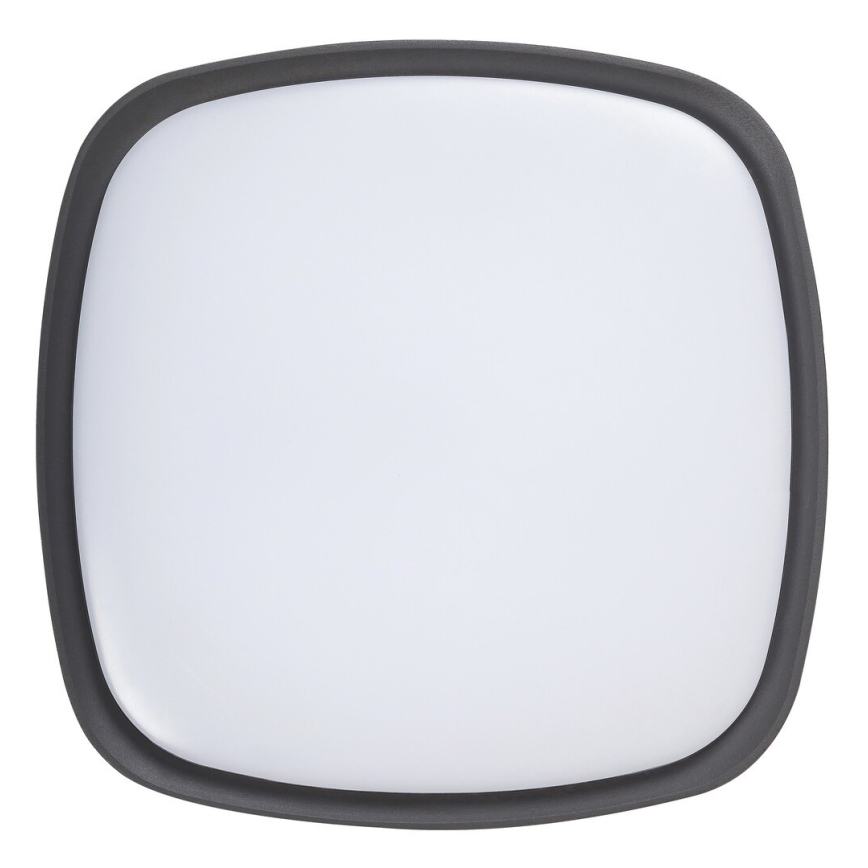 Rabalux - LED Vonkajšie stropné svietidlo LED/20W/230V IP65