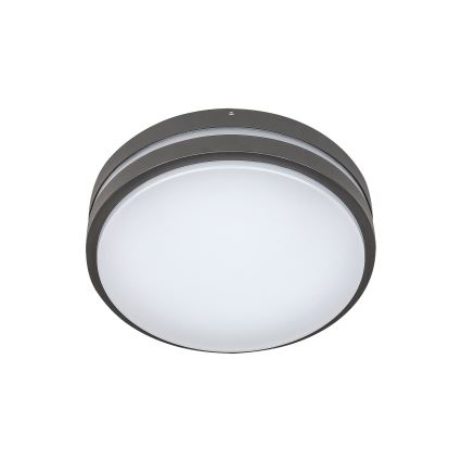 Rabalux 8847 - LED Vonkajšie nástenné svietidlo HAMBURG LED/10W/230V IP44