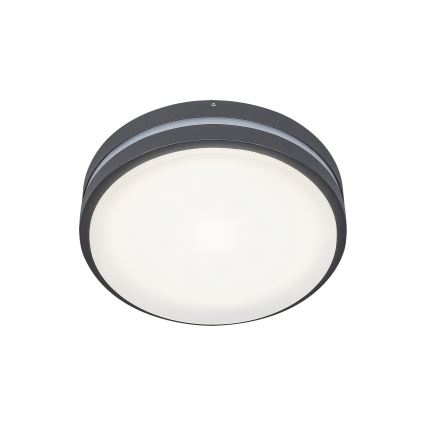 Rabalux 8847 - LED Vonkajšie nástenné svietidlo HAMBURG LED/10W/230V IP44