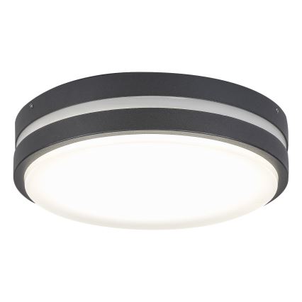 Rabalux 8848 - LED Vonkajšie nástenné svietidlo HAMBURG LED/12W/230V IP44