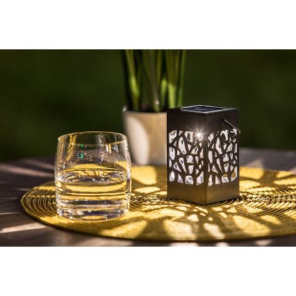 Rabalux - LED Vonkajšie solárne svietidlo LED/0,07W/1xAAA IP23 200 mAh