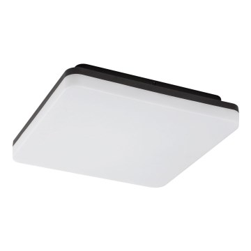 Rabalux - LED Kúpeľňové stropné svietidlo LED/24W/230V IP54 28x28 cm