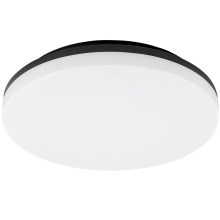 Rabalux - LED Kúpeľňové stropné svietidlo LED/24W/230V IP54