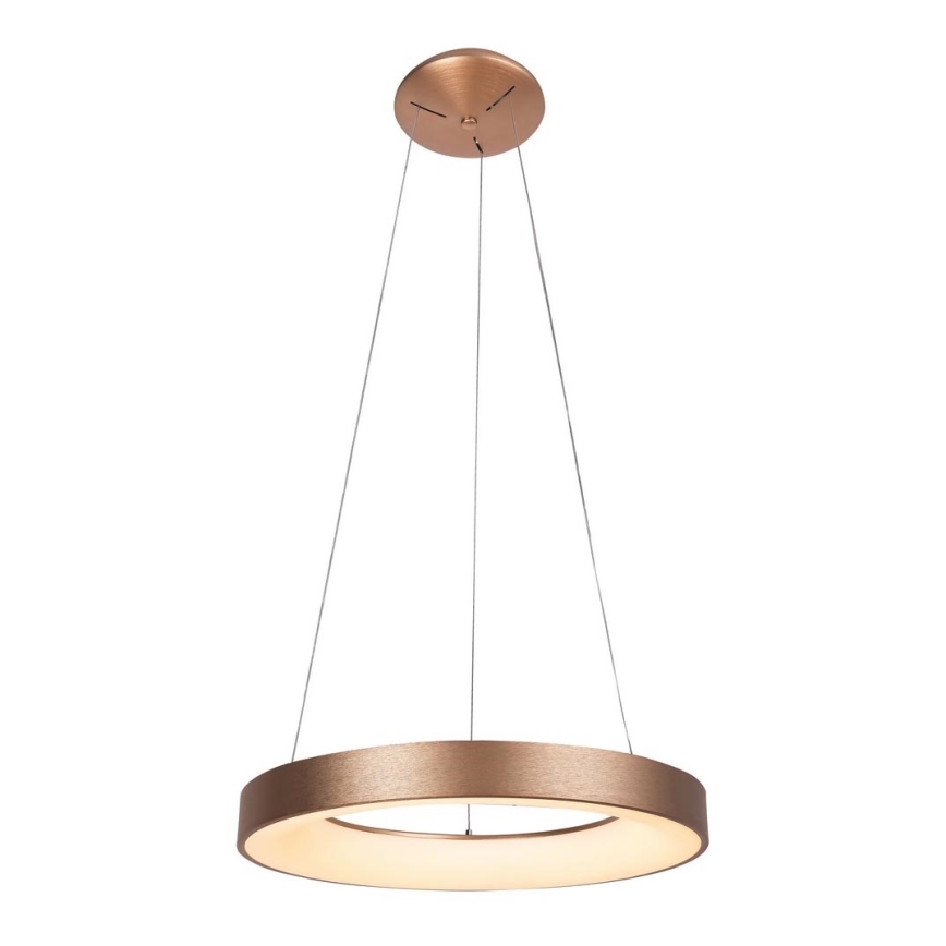 Rabalux - LED Luster na lanku CARMELLA LED/80W/230V