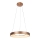 Rabalux - LED Luster na lanku CARMELLA LED/80W/230V