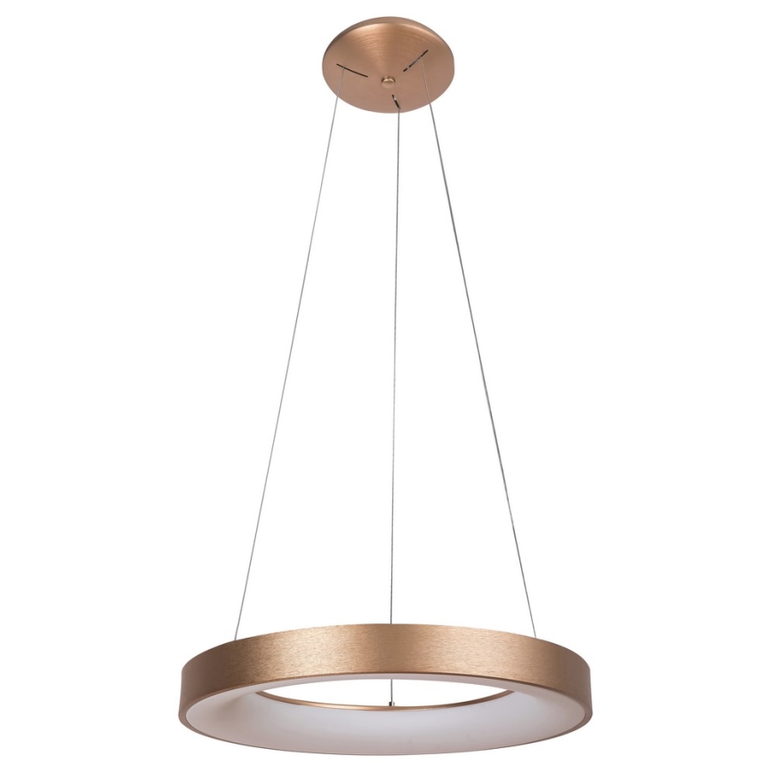 Rabalux - LED Luster na lanku CARMELLA LED/80W/230V