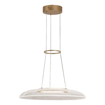 Rabalux - LED luster na lanku LED/24W/230V 3000K