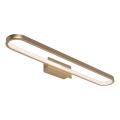 Rabalux - LED osvetlenie zrkadla do kúpeľne LED/18W/230V IP44 60 cm