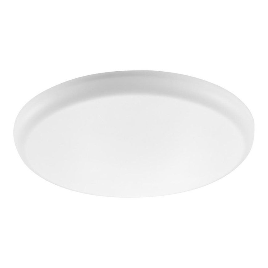 Rabalux - LED Podhľadové svietidlo OLEG LED/24W/230V IP65