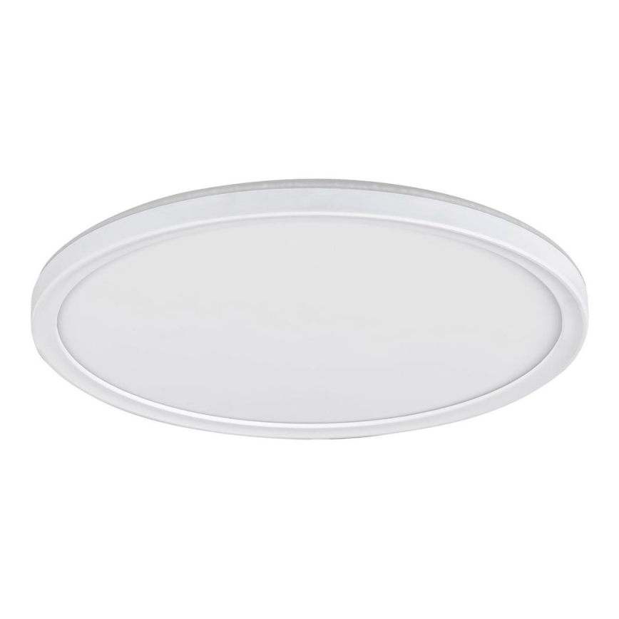 Rabalux - LED Stmievateľné stropné svietidlo LED/22W/230V