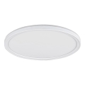 Rabalux - LED stmievateľné stropné svietidlo LED/22W/230V pr. 42 cm