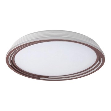 Rabalux - LED Stmievateľné stropné svietidlo LED/36W/230V