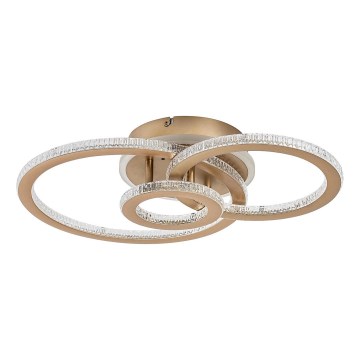 Rabalux - LED stmievateľné stropné svietidlo LED/40W/230V 3000-6500K + diaľkové ovládanie