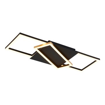 Rabalux - LED Stmievateľné stropné svietidlo LED/40W/230V 3000-6500K + diaľkové ovládanie