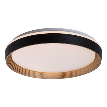 Rabalux - LED Stmievateľné stropné svietidlo LED/48W/230V 3000-6500K + diaľkové ovládanie