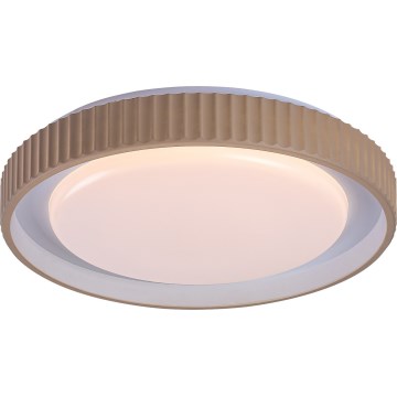 Rabalux - LED Stmievateľné stropné svietidlo LED/48W/230V 3000-6500K pr. 49,5 cm + diaľkové ovládanie